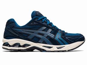 Baskets Asics GEL-KAYANO 14 Homme Bleu | EGW-610534