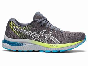 Chaussures Running Asics GEL-CUMULUS 22 Femme Argent | LHW-947065