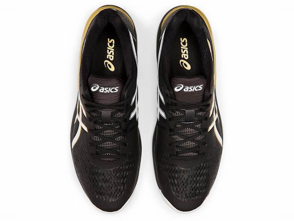 Chaussures De Handball Asics SKY ELITE FF Homme Noir Blanche | EZT-135986