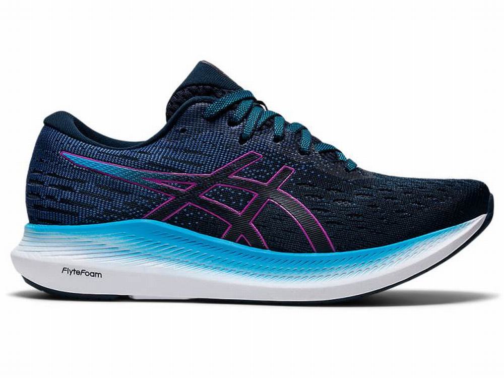 Chaussures Running Asics EVORIDE 2 Femme Bleu Violette | PUT-831509