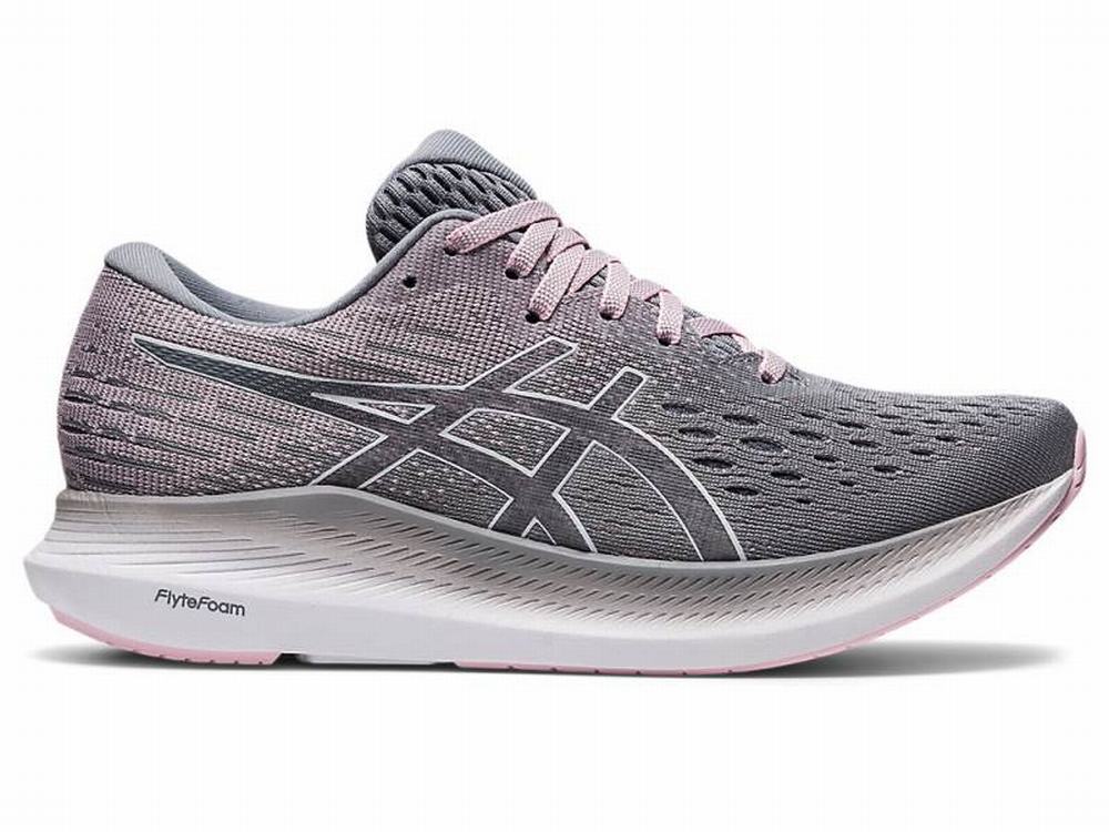 Chaussures Running Asics EVORIDE 2 Femme Blanche | USK-630289