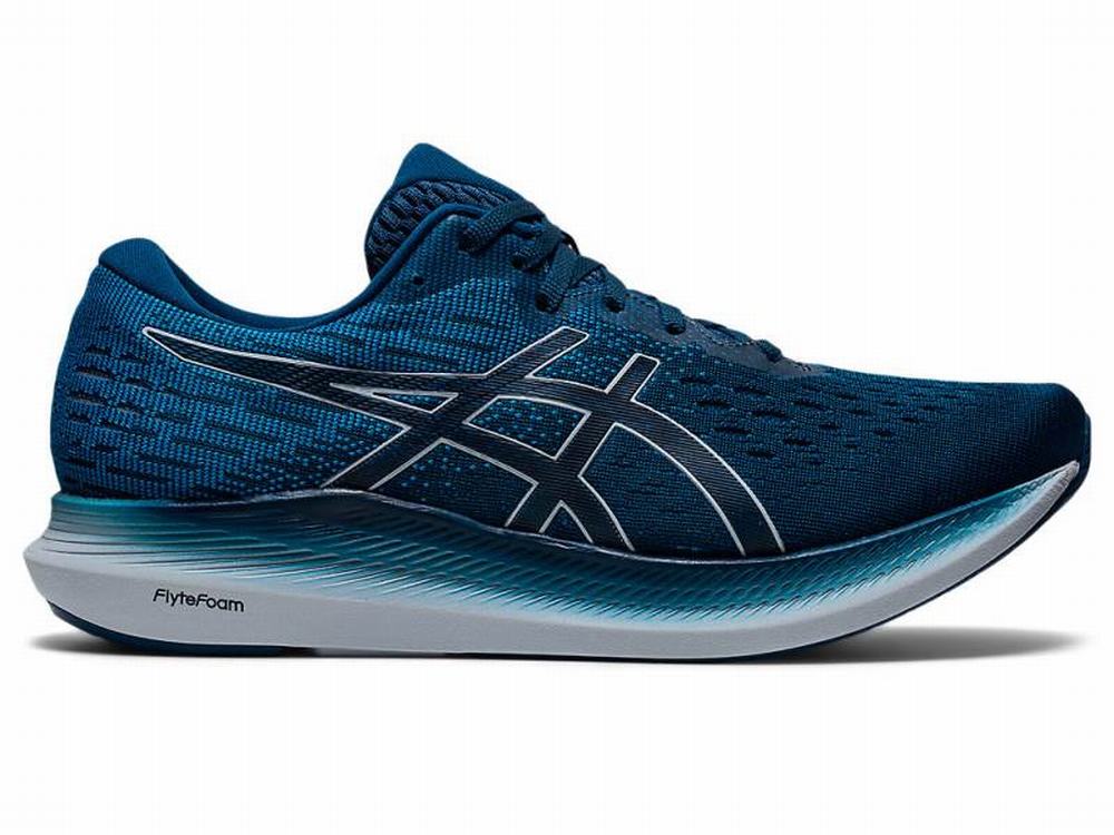 Chaussures Running Asics EVORIDE 2 Homme Bleu Grise | IZE-930286