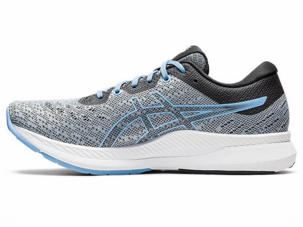 Chaussures Running Asics EvoRide Femme Bleu | MUN-798354