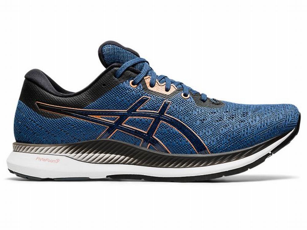 Chaussures Running Asics EvoRide Homme Grise Foncé | CNS-921706