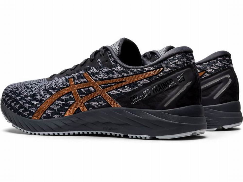 Chaussures Running Asics GEL-DS TRAINER 25 Homme Grise | ETP-463185