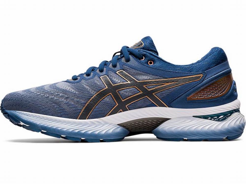 Chaussures Running Asics GEL-NIMBUS 22 (2E) Homme Grise | HRD-218956