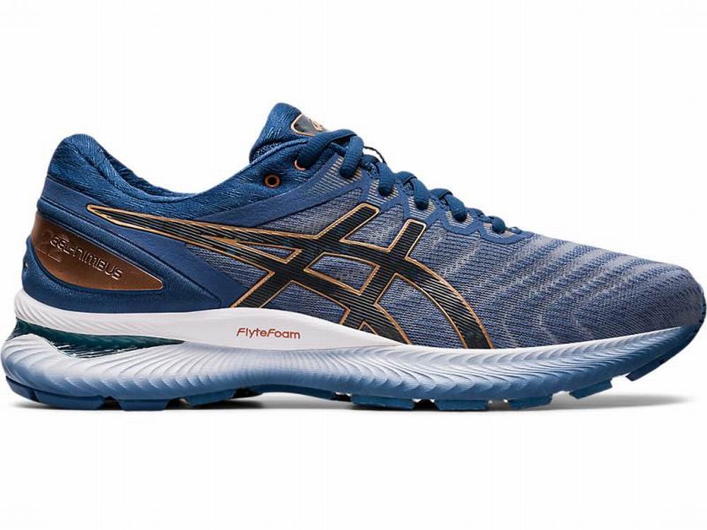 Chaussures Running Asics GEL-NIMBUS 22 (4E) Homme Grise | QDX-071429