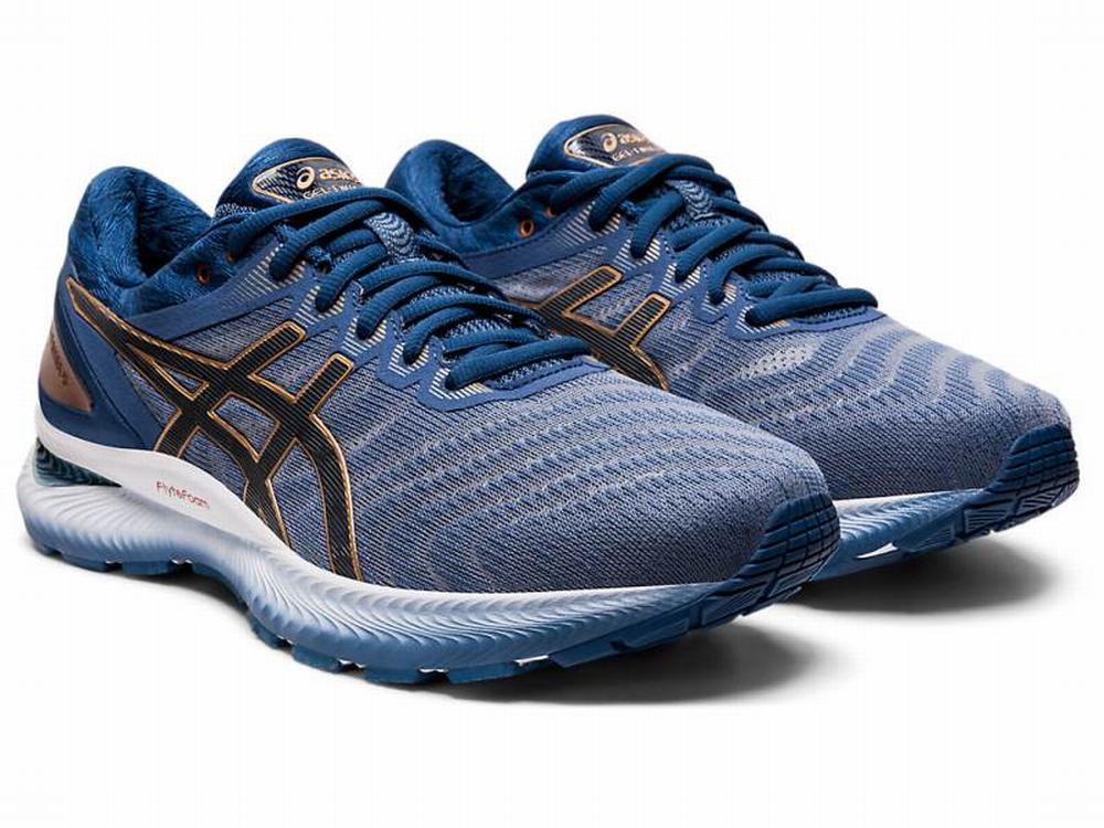 Chaussures Running Asics GEL-NIMBUS 22 (4E) Homme Grise | QDX-071429