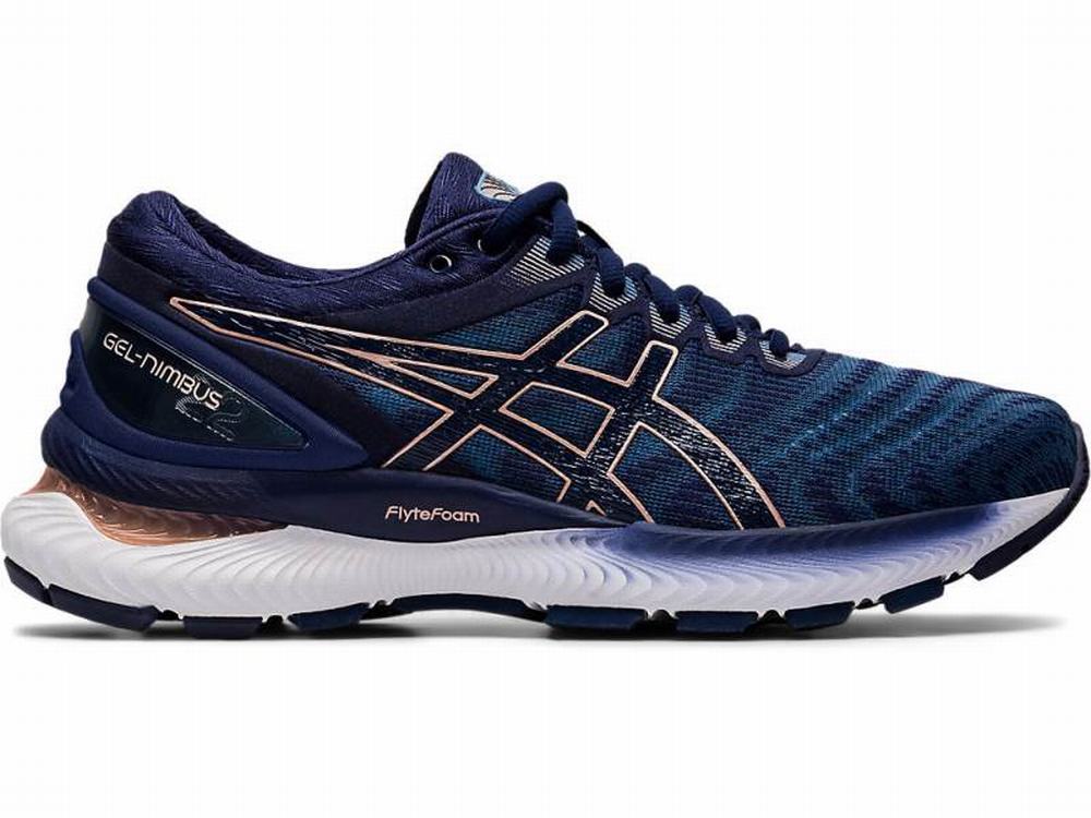 Chaussures Running Asics GEL-NIMBUS 22 Femme Grise Bleu Marine | CUW-598617