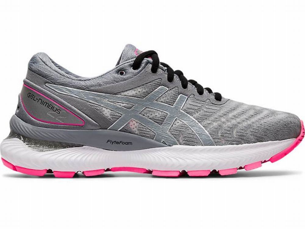 Chaussures Running Asics GEL-NIMBUS 22 LITE-SHOW Femme Grise | IHF-942716