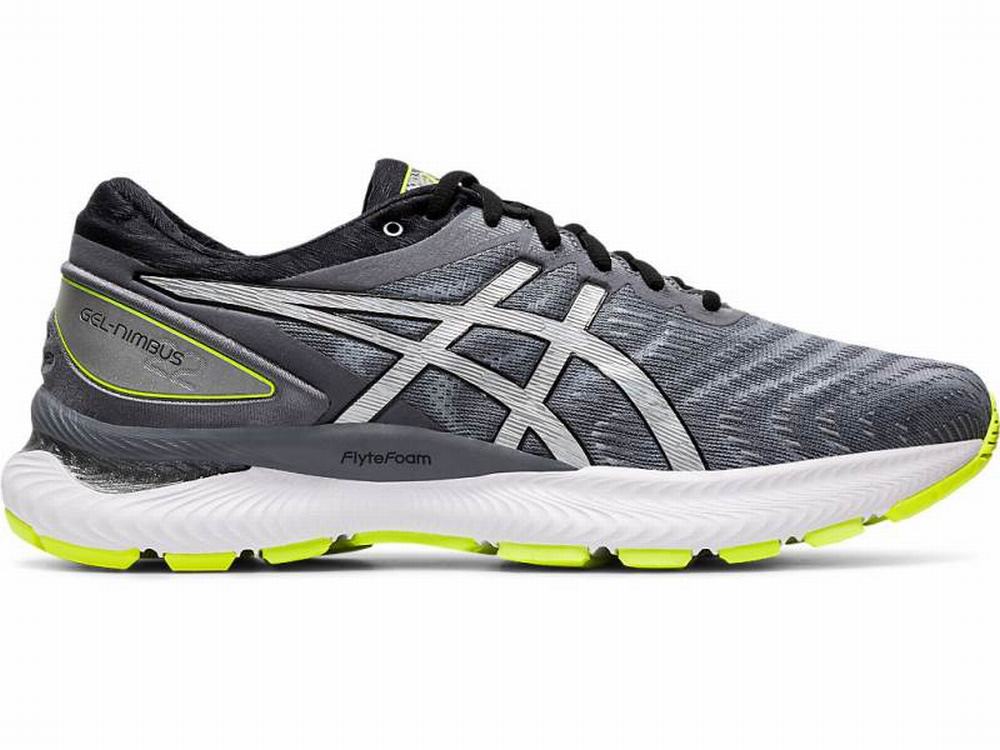 Chaussures Running Asics GEL-NIMBUS 22 LITE-SHOW Homme Argent | PIR-360495