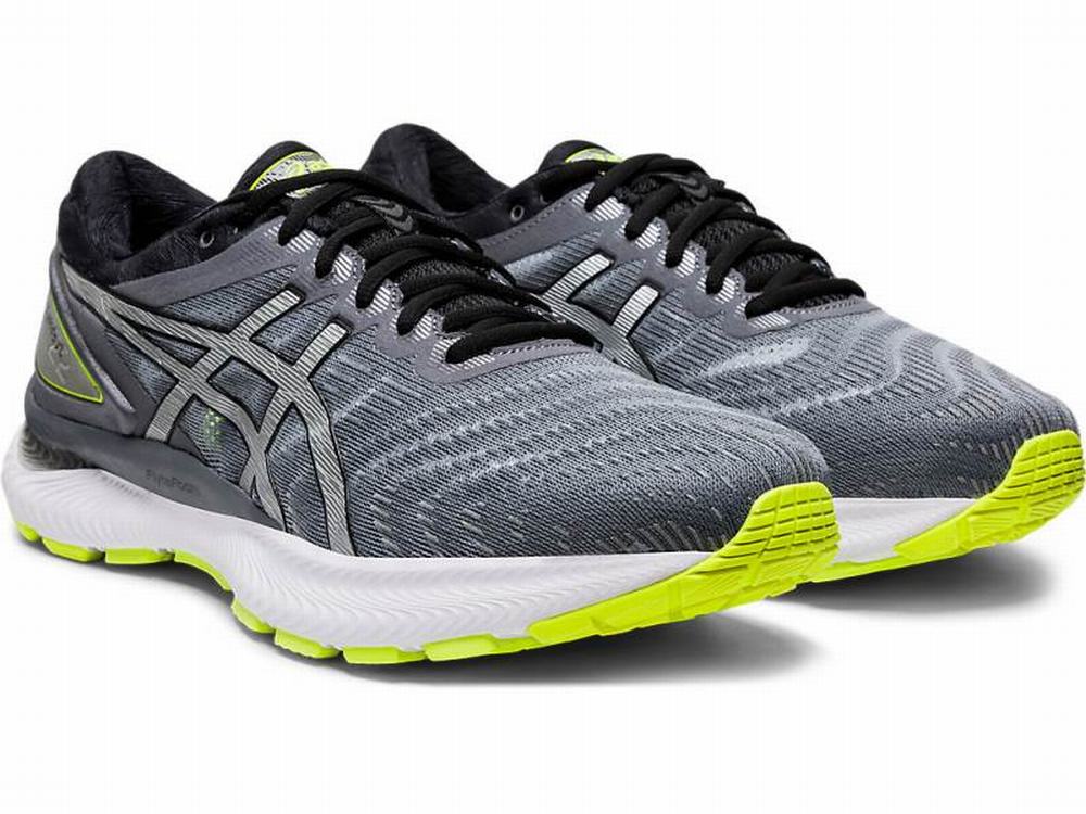 Chaussures Running Asics GEL-NIMBUS 22 LITE-SHOW Homme Argent | PIR-360495