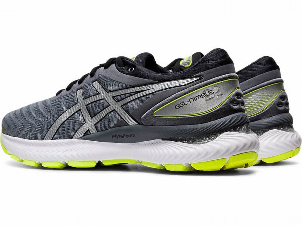 Chaussures Running Asics GEL-NIMBUS 22 LITE-SHOW Homme Argent | PIR-360495