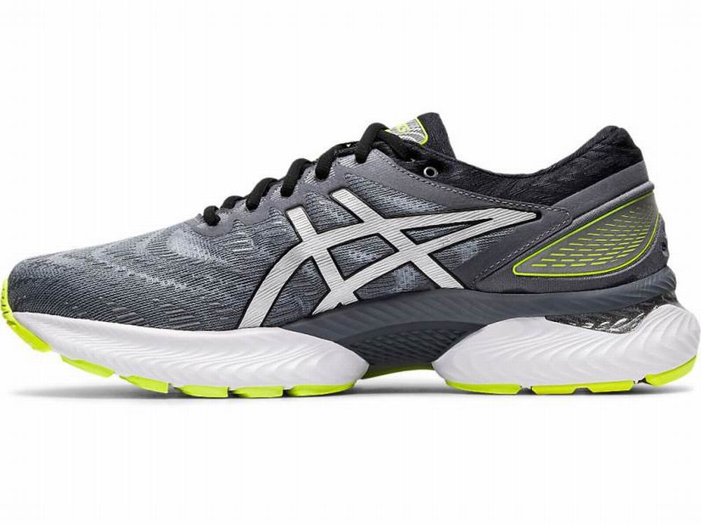 Chaussures Running Asics GEL-NIMBUS 22 LITE-SHOW Homme Argent | PIR-360495