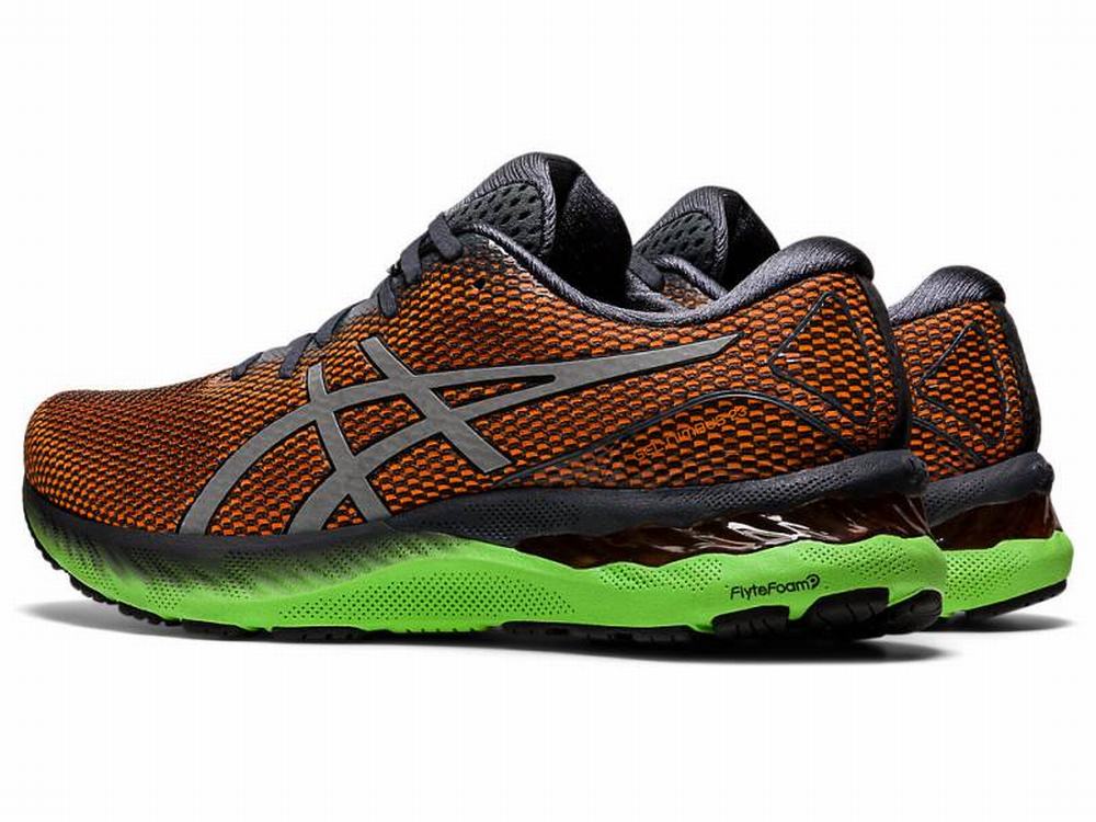 Chaussures Running Asics GEL-NIMBUS 23 LITE-SHOW Homme Grise Argent | YQN-045836