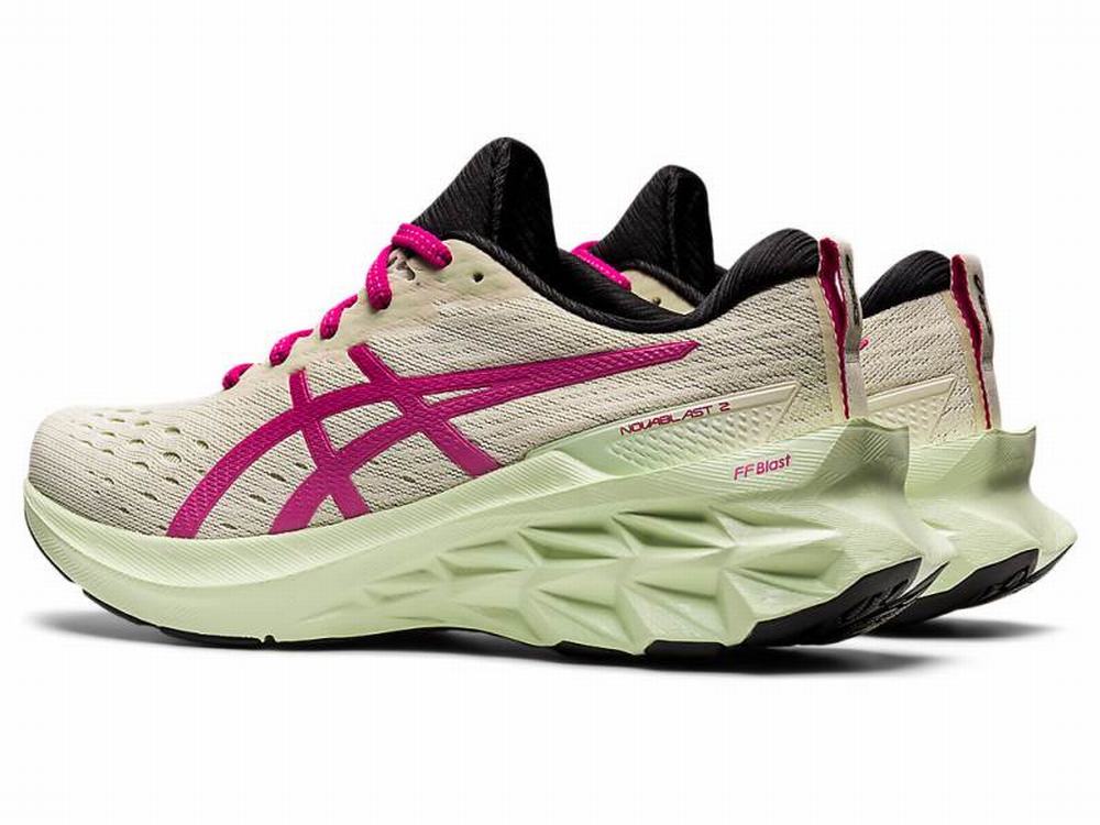 Chaussures Running Asics NOVABLAST 2 Femme Rose | CQG-354689