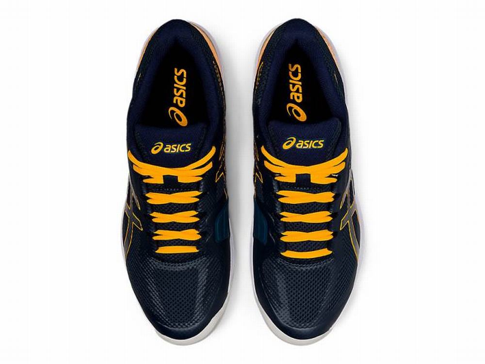 Chaussures de Tennis Asics Court Speed FF Homme Bleu | IOK-987045