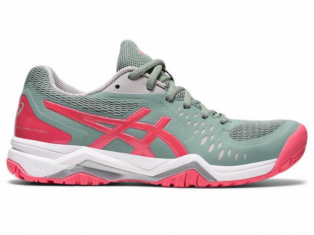 Chaussures de Tennis Asics GEL-CHALLENGER 12 Femme Rose Grise | LAJ-719046